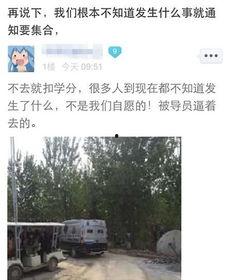 河北美院爆料视频大全最新,揭秘校园风云与艺术魅力  第1张